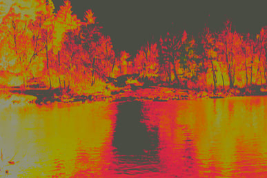 Scan of a 35mm slide when set to 35mm/135 negative